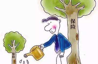 <b>大三阳、小三阳能买的保险都有哪些？</b>
