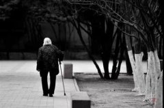 <b>���ϱ��ճ������Ͻ𣬻�����Щ������</b>