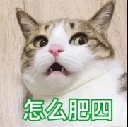 <b>�籣���ύ���ڰ׻�Ǯ���������ɲ���㣡</b>