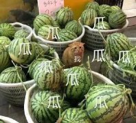 Ӣȥ3£ԽԽã